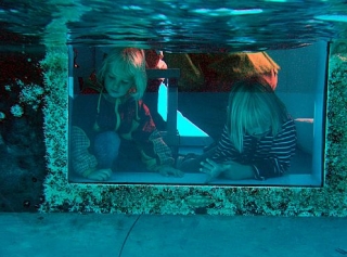 Divisa el fondo del mar